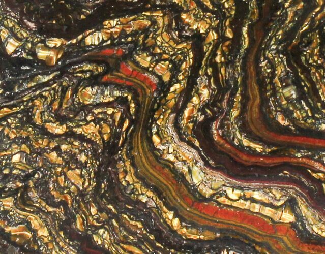 Polished Tiger Iron Stromatolite - ( Billion Years) #38916